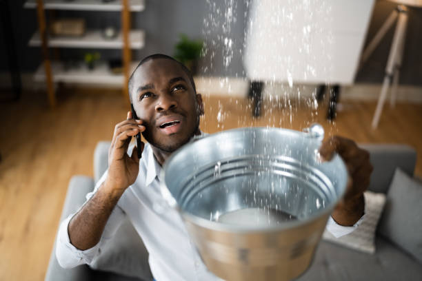 Best 24-hour water damage restoration  in Mount Airy, MD