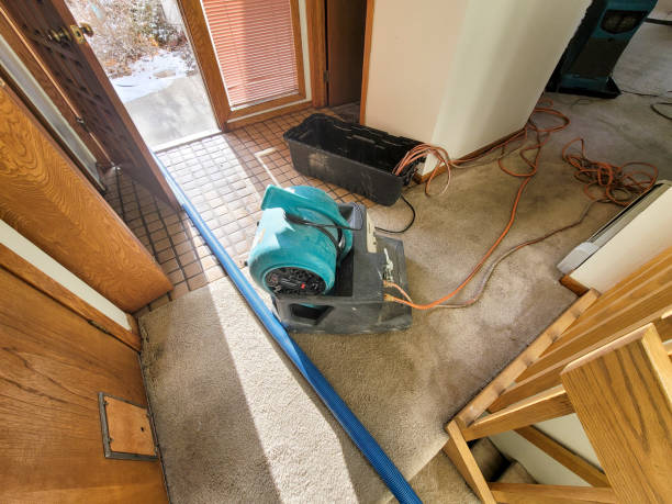 Best Mold removal after water damage  in Mount Airy, MD