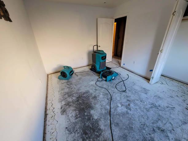 Best Flood damage cleanup  in Mount Airy, MD