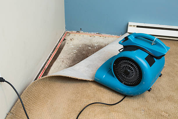 Best Carpet water damage restoration  in Mount Airy, MD